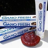GANO FRESH Toothpaste (150g)