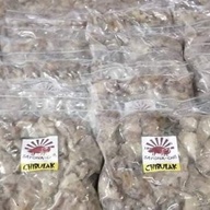 Chibulak