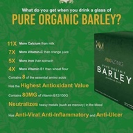 Pure Organic Barley