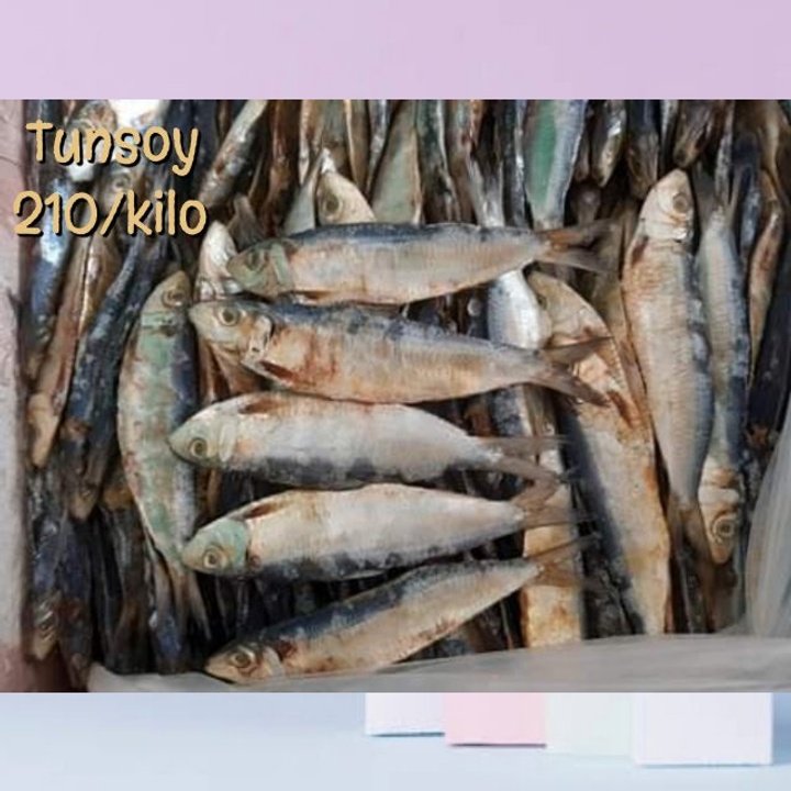 Dried Fish (Tuyong Daing) at 190.00 from Quezon City. LookingFour Buy