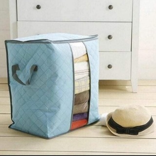 light blue storage bag organizer