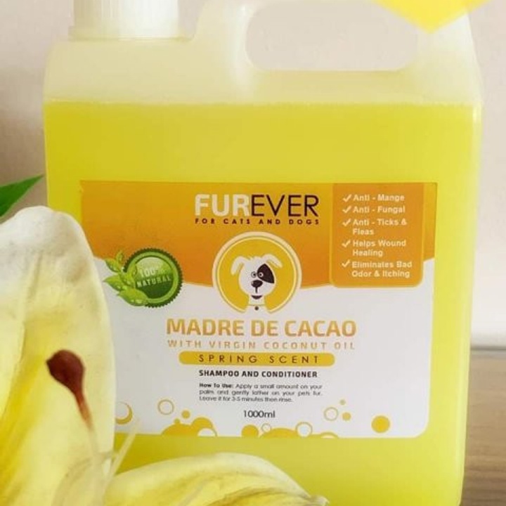 Furever Madre De Cacao Shampoo And Conditioner 1000ml At 360 00 From furever-madre-de-cacao-shampoo-and-conditioner-1000ml-at-360-00-from