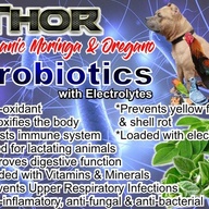 Thor Probiotics