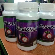 MANGOSTEEN