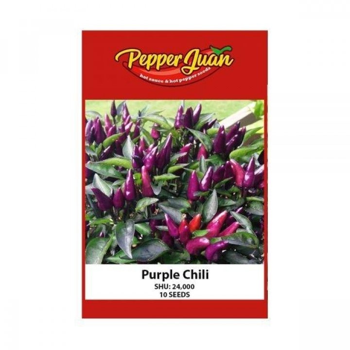 Purple Chili Pepper Seeds at 189.00 from Pampanga. LookingFour Buy