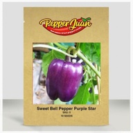 Sweet Bell Pepper Purple Star Seeds