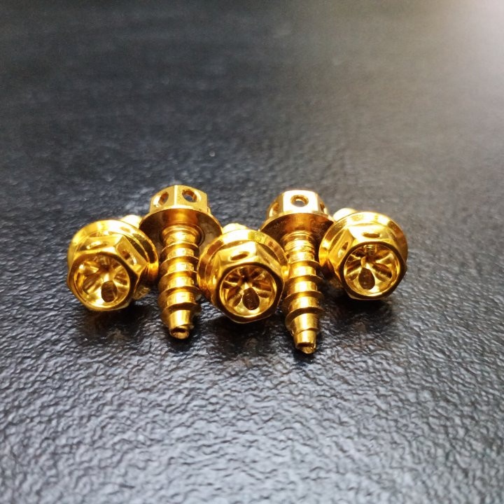 20 PCS. BODY BOLTS 5X15mm FLOWER TYPE GOLD HENG AUTHENTIC BOLTS at
