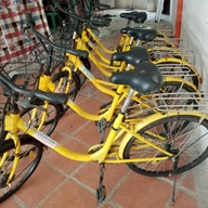 24 inches OFO yellow Japan surplus