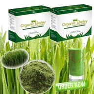 Organic Pure Barley Grass