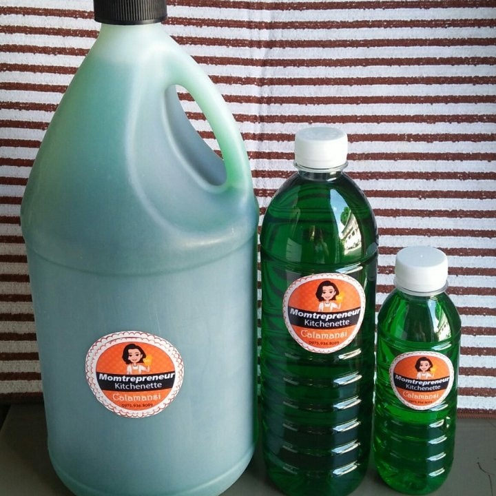 4Liters Dishwashing Liquid (set of 4gallons) at 500.00 from Laguna