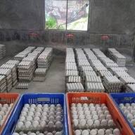 Fresh Farm Eggs in wholesale