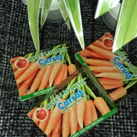 Carrot Soap of Green Magic