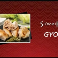 PORK GYOZA (SEASONAL PRODUCT)