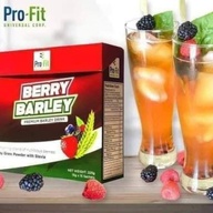 Berry Barley Premium