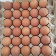 💙fresh egg from d' farm🐈