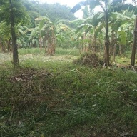 Lot for sale Antipolo