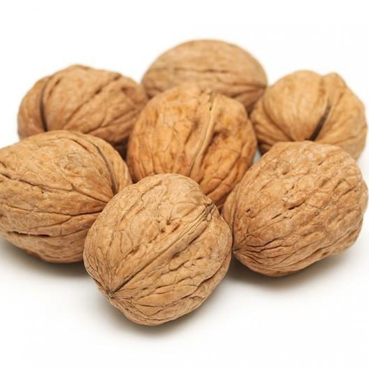 quality walnuts for sale at 500.00 from City of Caloocan. LookingFour