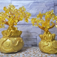 Real Citrine money tree