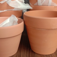 Smooth terracotta pots