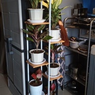 Modern Plant Rack Plant Stand Garden Rack Organizer Shelf Brown