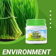 SALVEO BARLEY GRASS 100%organic