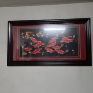 lucky coi fish portrait