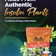 INSULIN PLANT TEA (COSTUS IGNEUS)