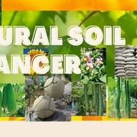 Natural Soil Enhancer