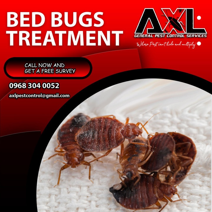 BED BUGS PEST CONTROL at 2500.00 from Pasay City. LookingFour Buy