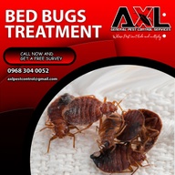 BED BUGS PEST CONTROL