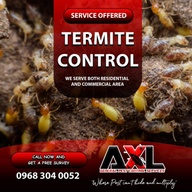 TERMITE PEST CONTROL