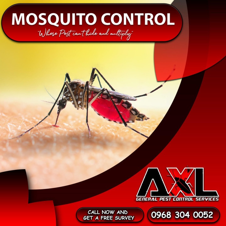 MOSQUITO PEST CONTROL at 2500.00 from Pasay City. LookingFour Buy