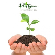 Philtycoon International MLM Business