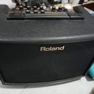 Roland Acoustic Guitar Amplifier from Canada