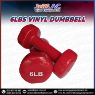 6 lb Vinyl Dumbbell Pair