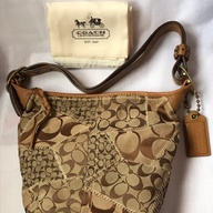 Coach Limited Edition Hobo Bag
