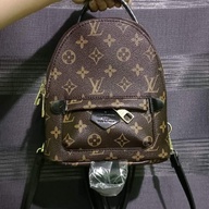 Louis Vuitton Palm Spring Bag