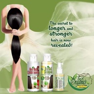 Hairbal shampoo, conditioner and oil