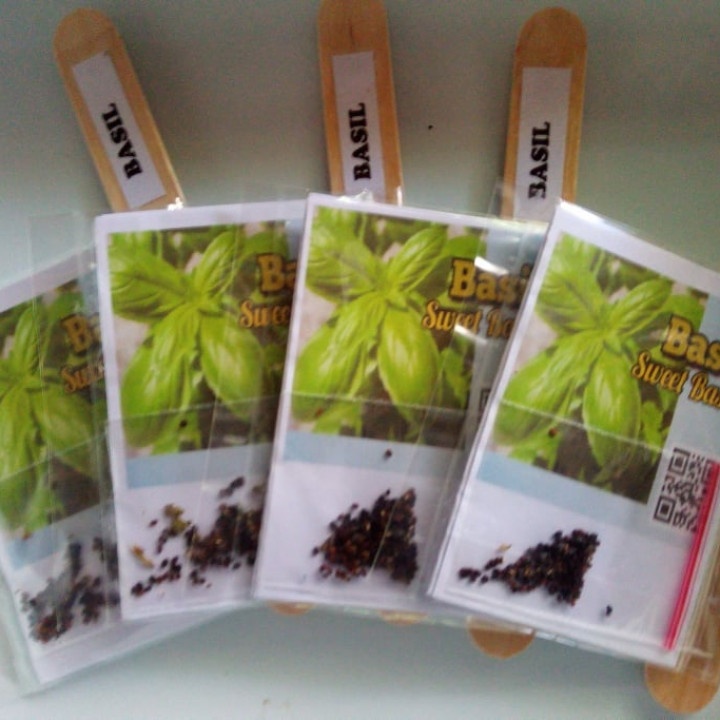 Sweet Basil Seeds/ Edible Herbs at 20.00 from Laguna. LookingFour Buy