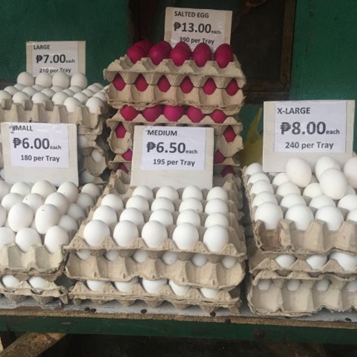 Egg at 180.00 from City of Valenzuela. LookingFour Buy & Sell Online