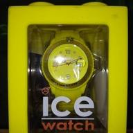 ICE Watch