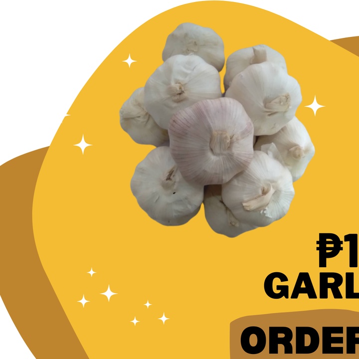 Garlic 1 kg. at 100.00 from Quezon City. LookingFour Buy & Sell Online
