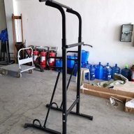 Standing Pull Up Station