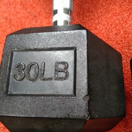 30lbs Hex Dumbbell for Home Exercise / Gym Equipment (JeRS AC)