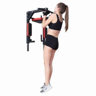 Home Gym Chin up pull up / Dip Station wall mount / Multifunction Pull Up Dip Station - JeRS AC Gym