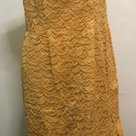 Pre Loved Yellow Sleeveless Lace Gown.