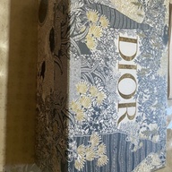 Dior Ladies Bag (brand new)