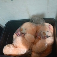 Bundle big bears
