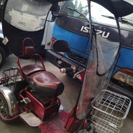 3 wheel ebike