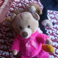 Used teddy bear for sale